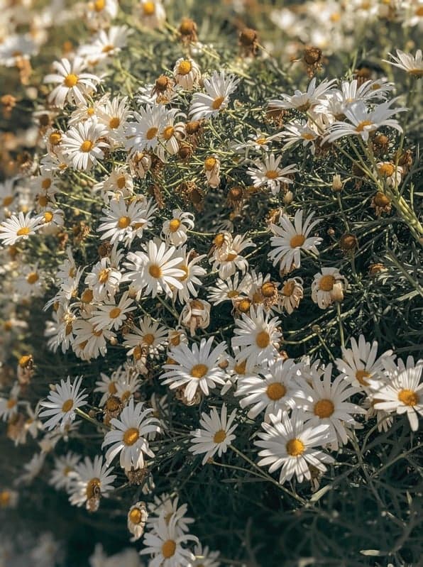 Close up of a pregnant belly